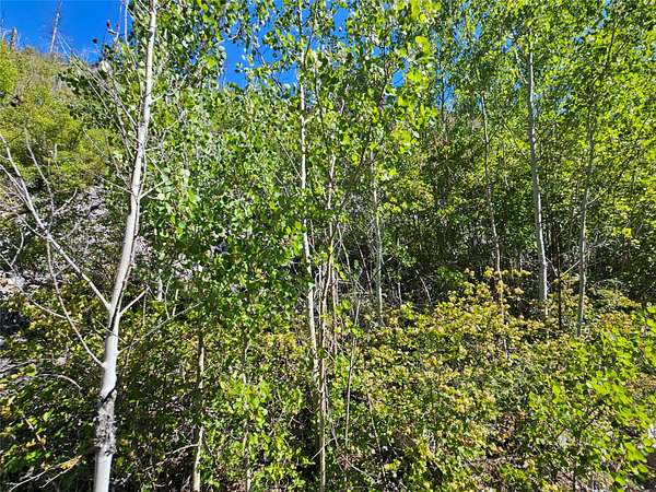 20 Acres of Recreational Land for Sale in Drummond, Montana