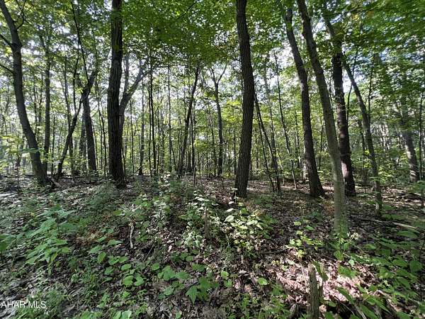 0.52 Acres of Residential Land for Sale in Claysburg, Pennsylvania