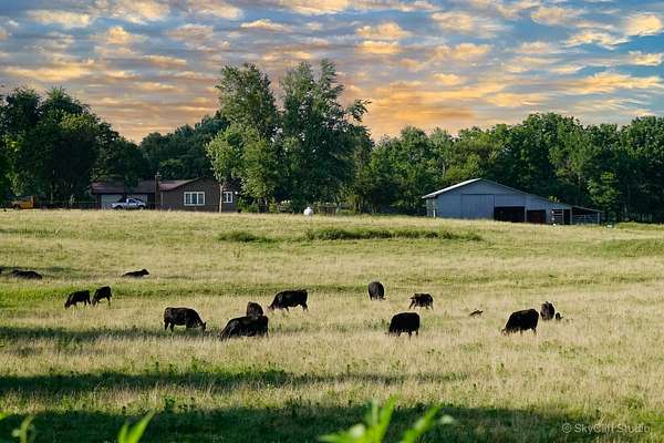 28.8 Acres of Agricultural Land with Home for Sale in Monett, Missouri