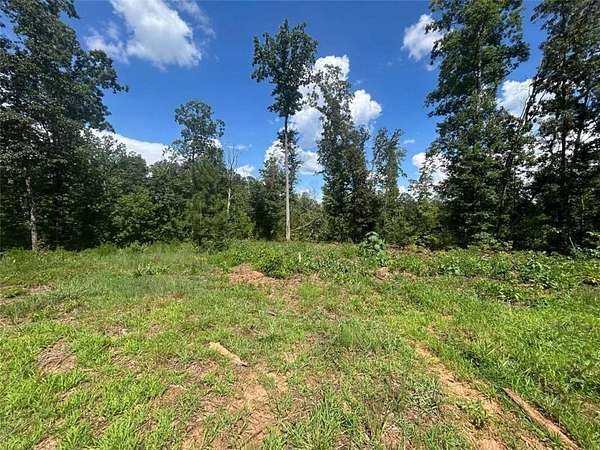 11 Acres of Land for Sale in Canton, Georgia