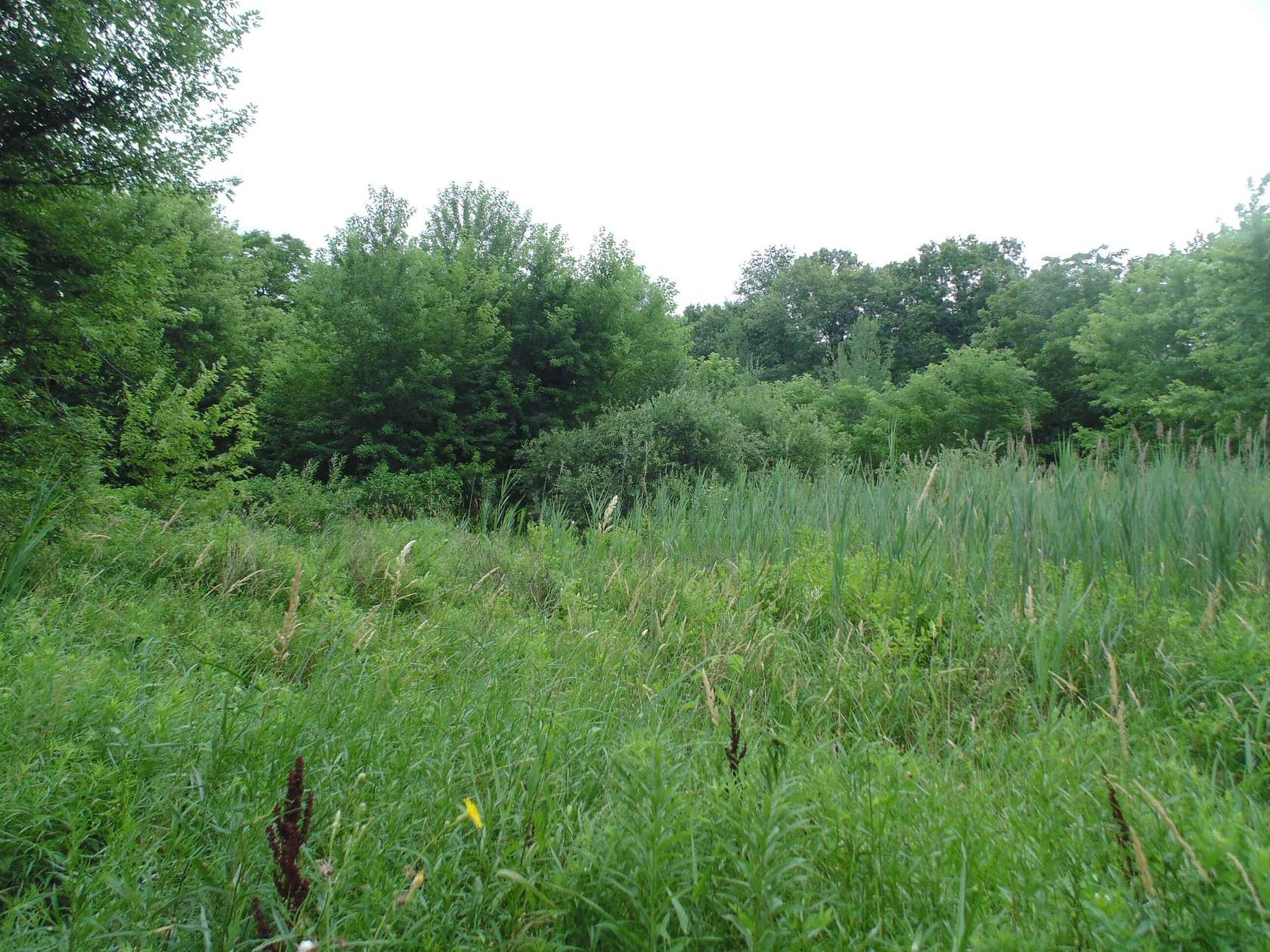 0.3 Acres of Land for Sale in Lake Station, Indiana