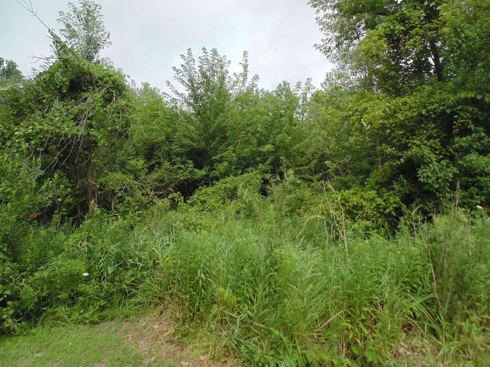 0.72 Acres of Land for Sale in Lake Station, Indiana