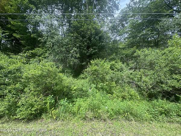 0.46 Acres of Residential Land for Sale in Blakeslee, Pennsylvania