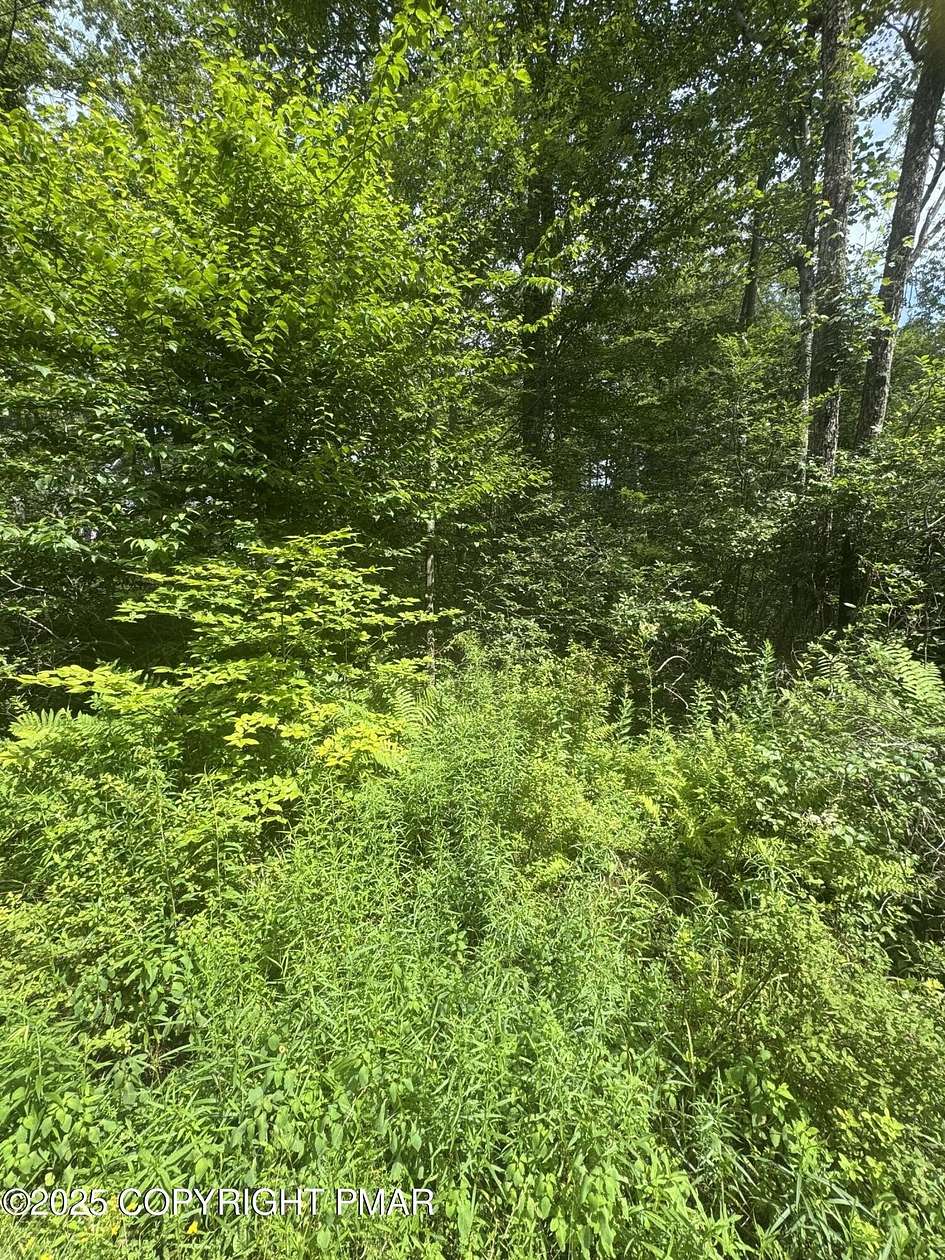 0.46 Acres of Residential Land for Sale in Blakeslee, Pennsylvania
