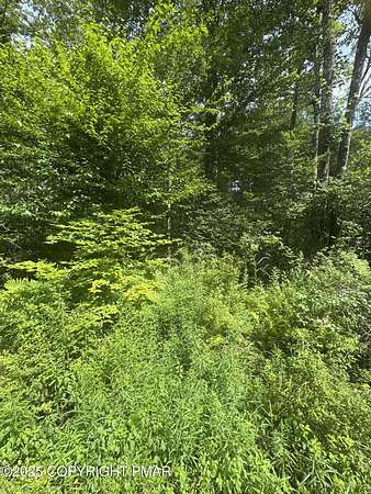 0.46 Acres of Residential Land for Sale in Blakeslee, Pennsylvania
