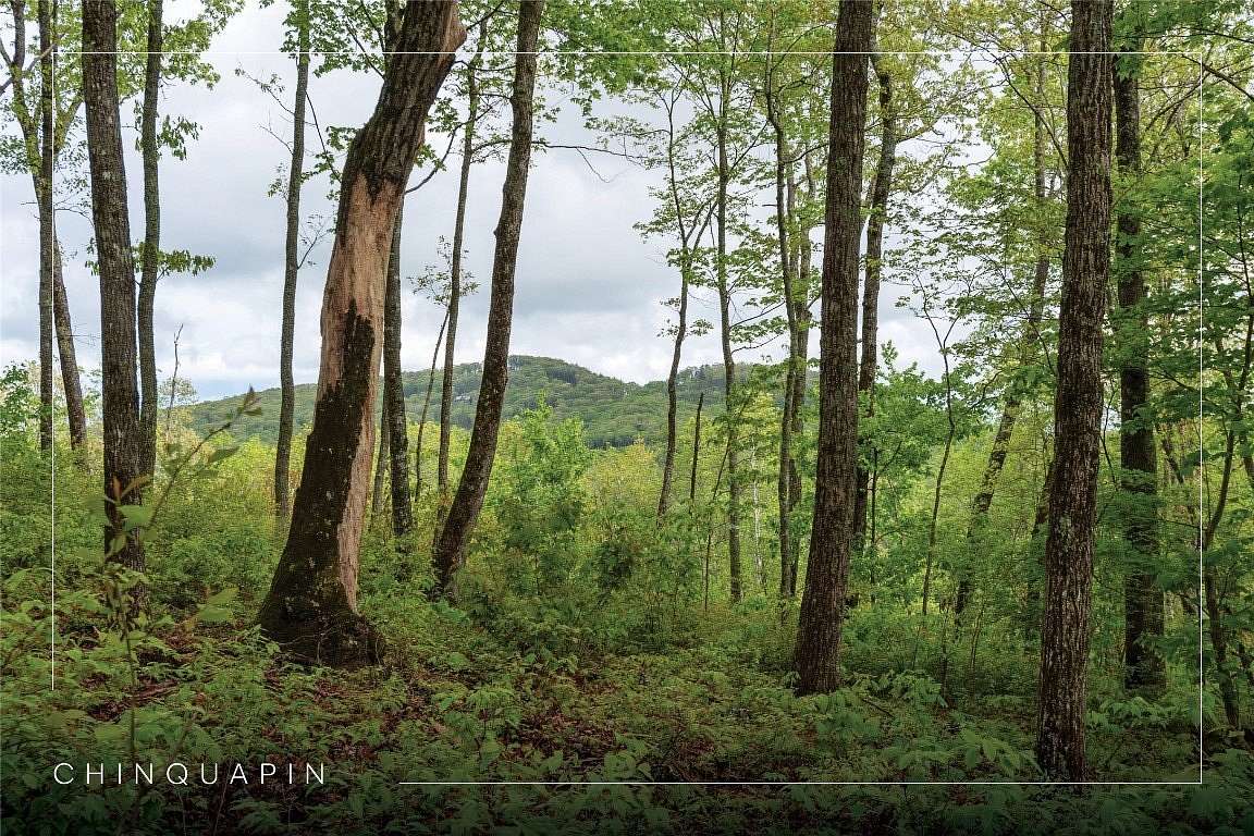 4.46 Acres of Residential Land for Sale in Glenville, North Carolina