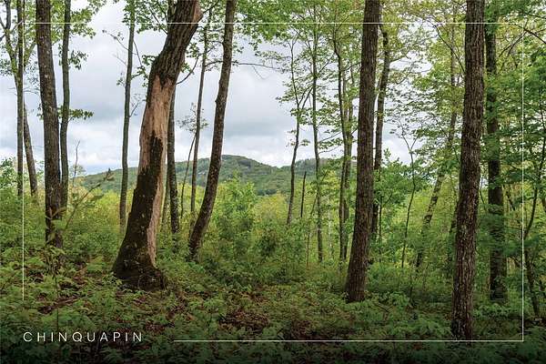 4.46 Acres of Residential Land for Sale in Glenville, North Carolina