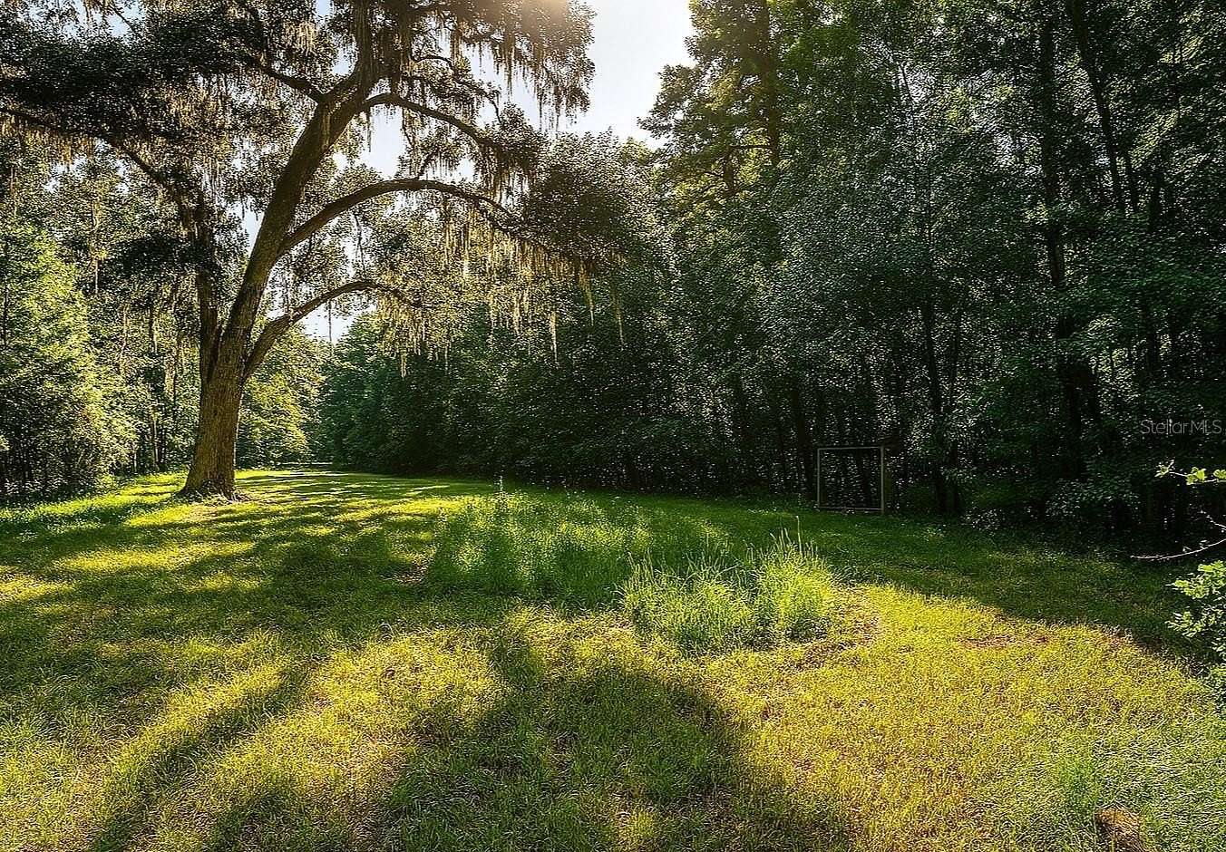 17 Acres of Land for Sale in Alachua, Florida