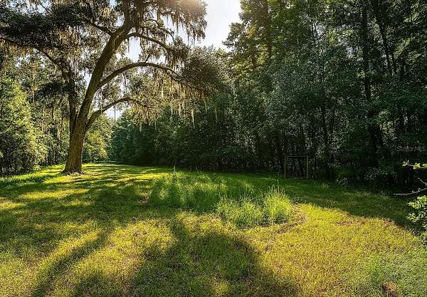 17 Acres of Land for Sale in Alachua, Florida