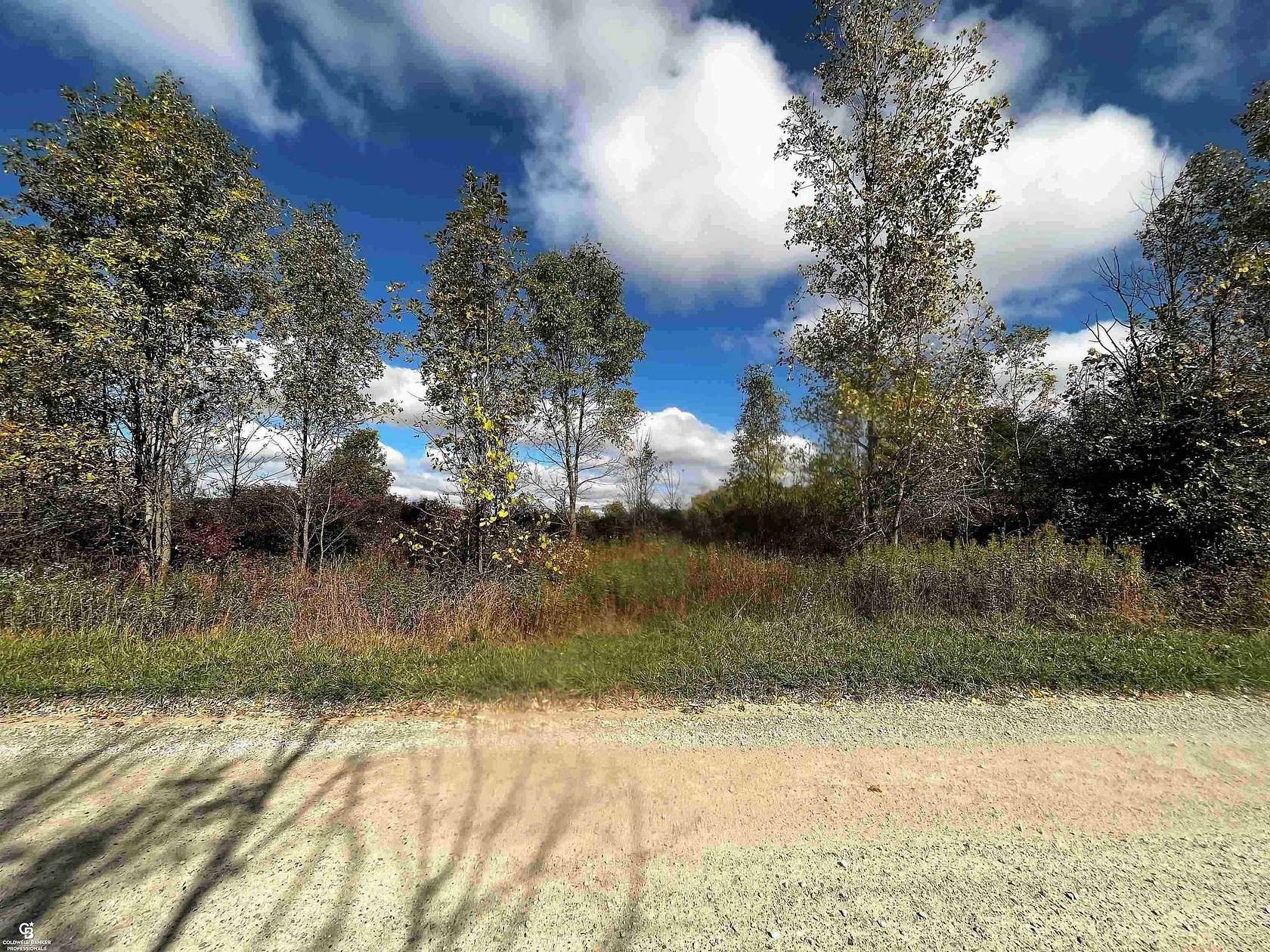 9.45 Acres of Residential Land for Sale in Riley Township, Michigan