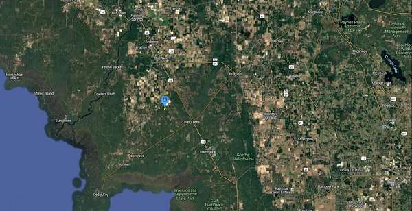 22.2 Acres of Recreational Land for Sale in Chiefland, Florida