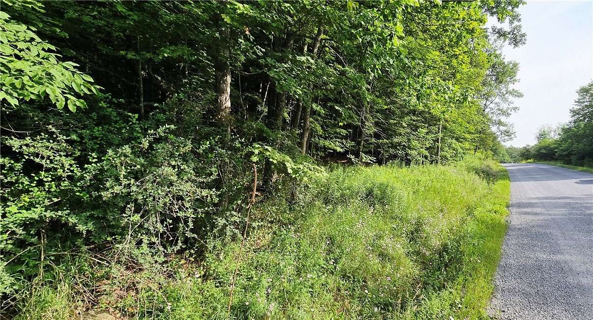15 Acres of Recreational Land for Sale in Harpersfield, New York