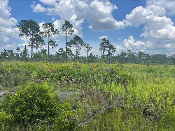 0.23 Acres of Residential Land for Sale in Sebring, Florida