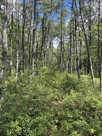 19 4 Acres of Recreational Land - Mays Landing Nj 144959949
