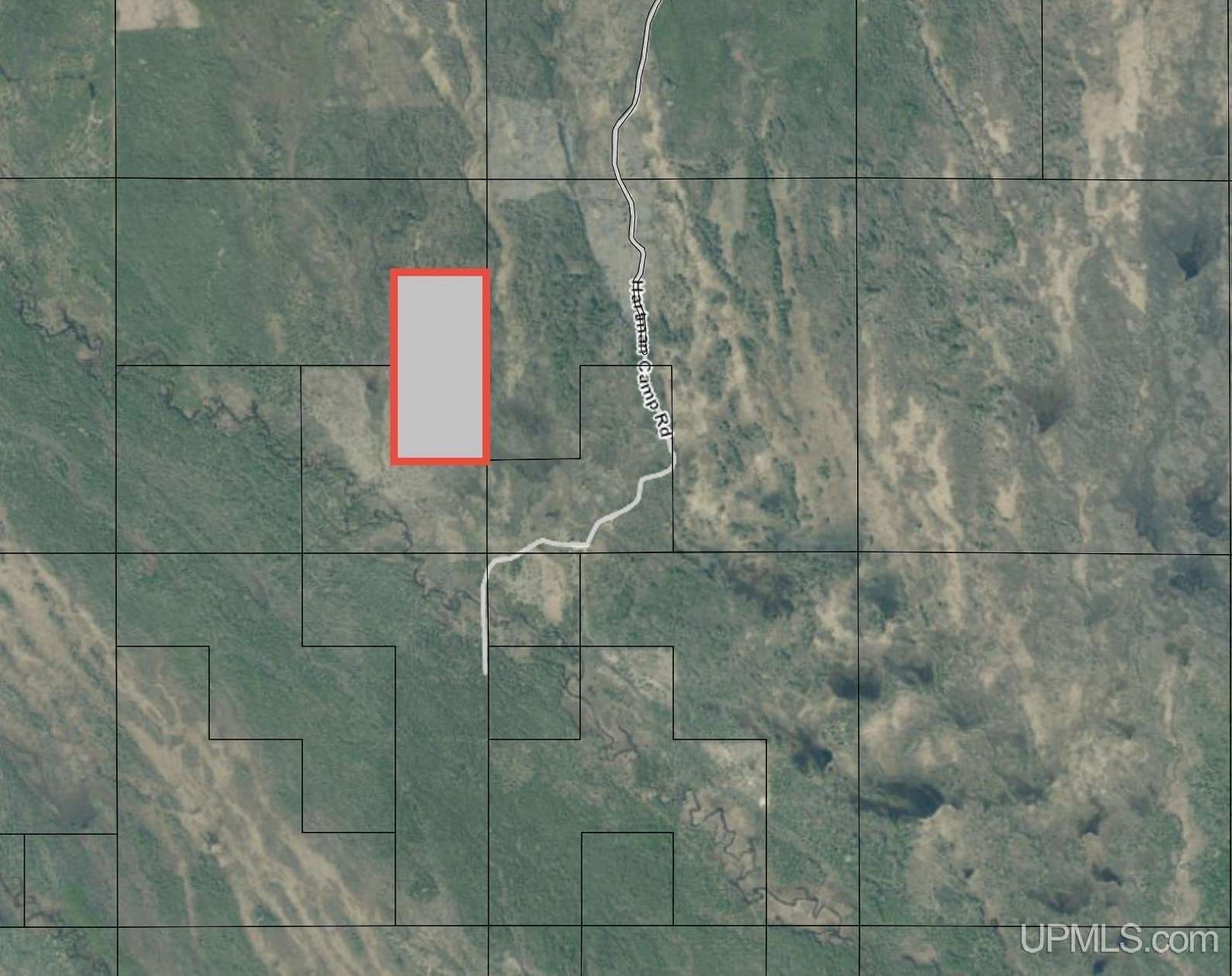 80 Acres of Recreational Land for Sale in Manistique, Michigan