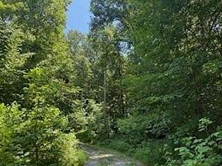 0.66 Acres of Residential Land for Sale in Nancy, Kentucky