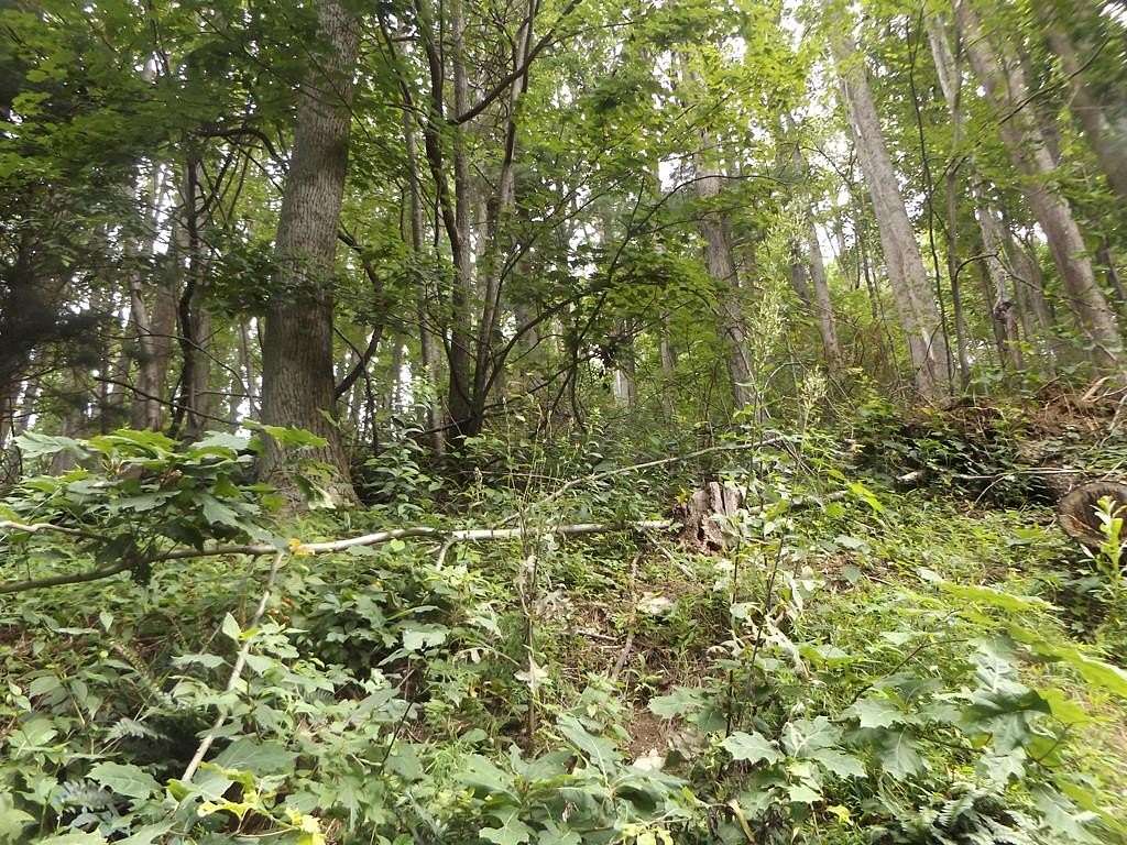 0.4 Acres of Residential Land for Sale in Fancy Gap, Virginia