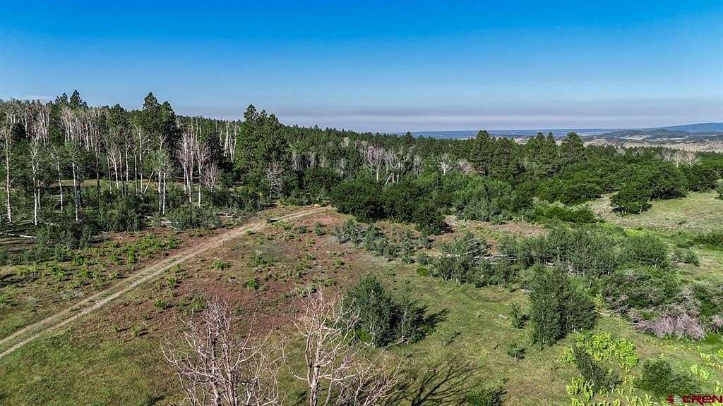 85 Acres of Recreational Land for Sale in Rico, Colorado