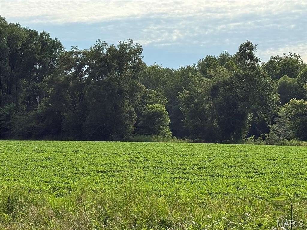 40 Acres of Agricultural Land for Sale in New London, Missouri