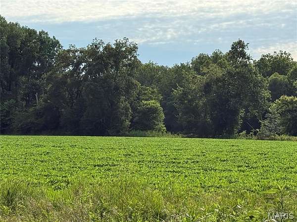 40 Acres of Agricultural Land for Sale in New London, Missouri