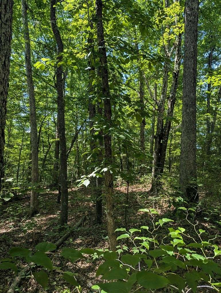 4.24 Acres of Residential Land for Sale in Monterey, Tennessee