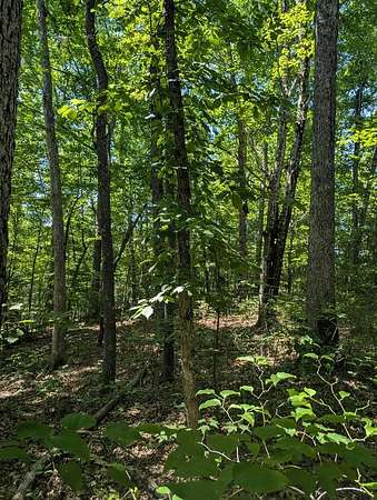 4.24 Acres of Residential Land for Sale in Monterey, Tennessee