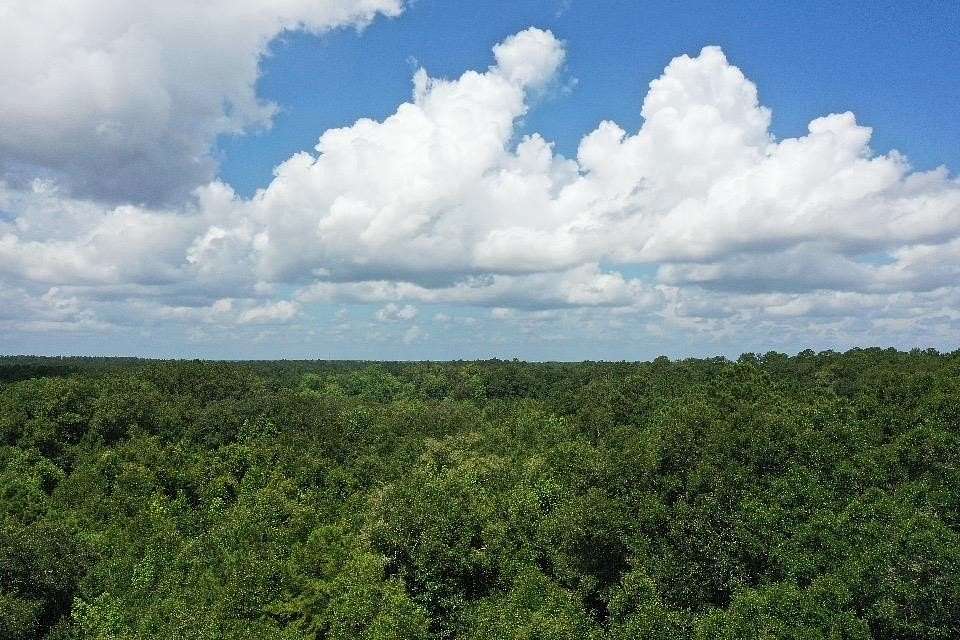 10 Acres of Residential Land for Sale in Havana, Florida