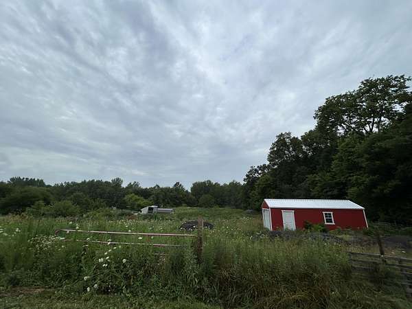 5.24 Acres of Residential Land for Sale in De Graff, Ohio