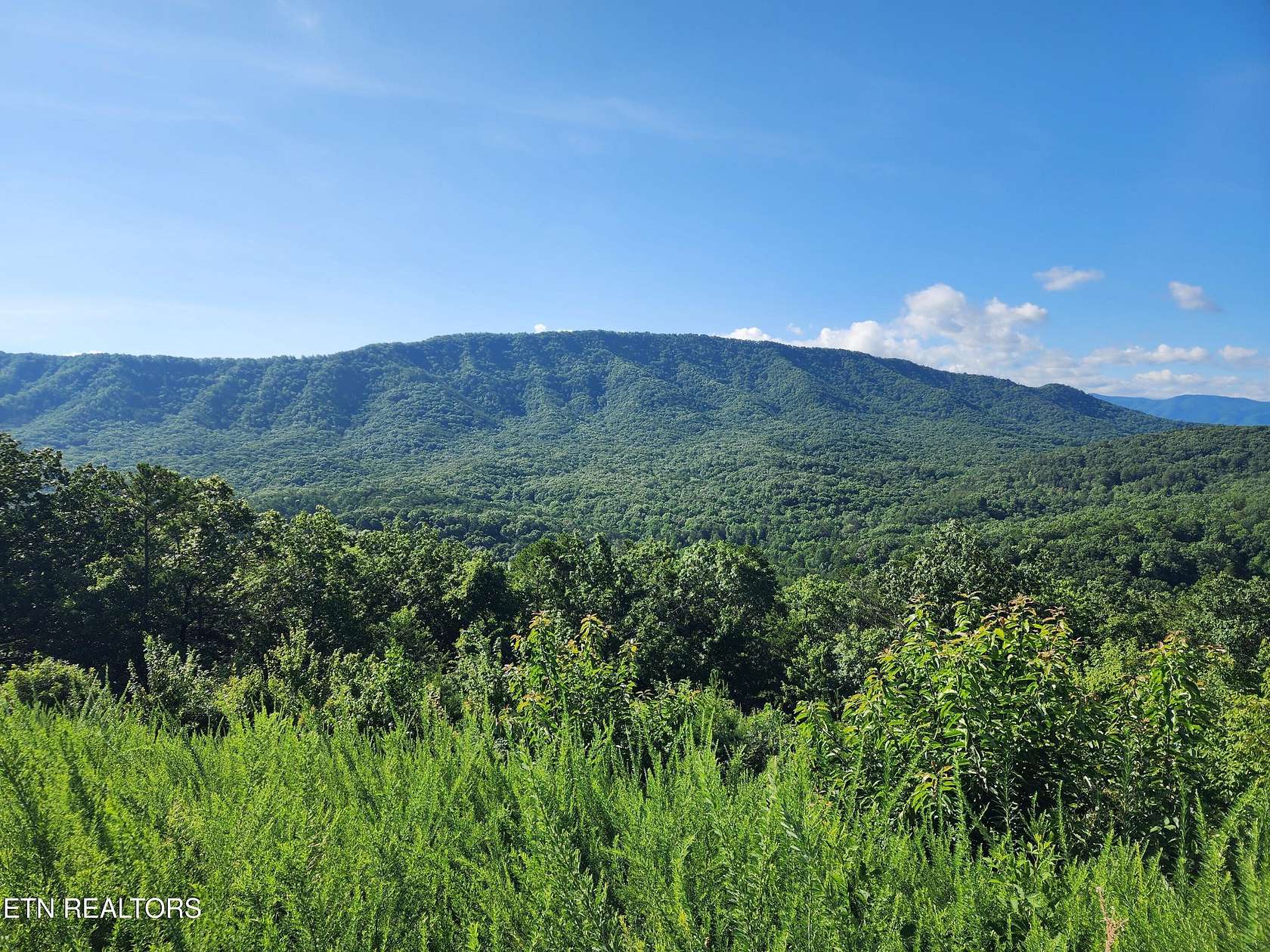 5 Acres of Land for Sale in Maryville, Tennessee