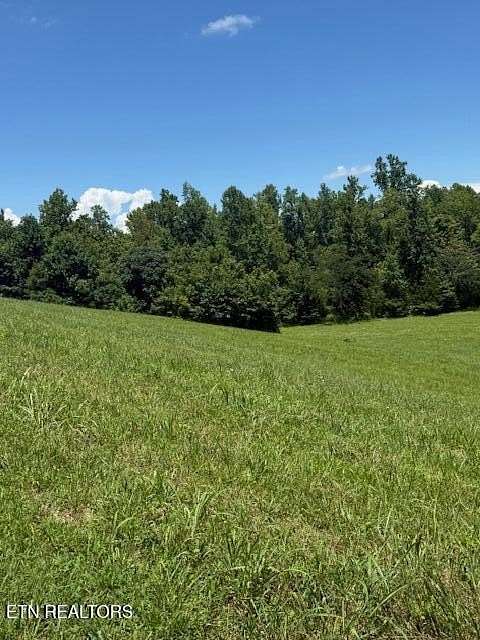 0.76 Acres of Residential Land for Sale in Decatur, Tennessee