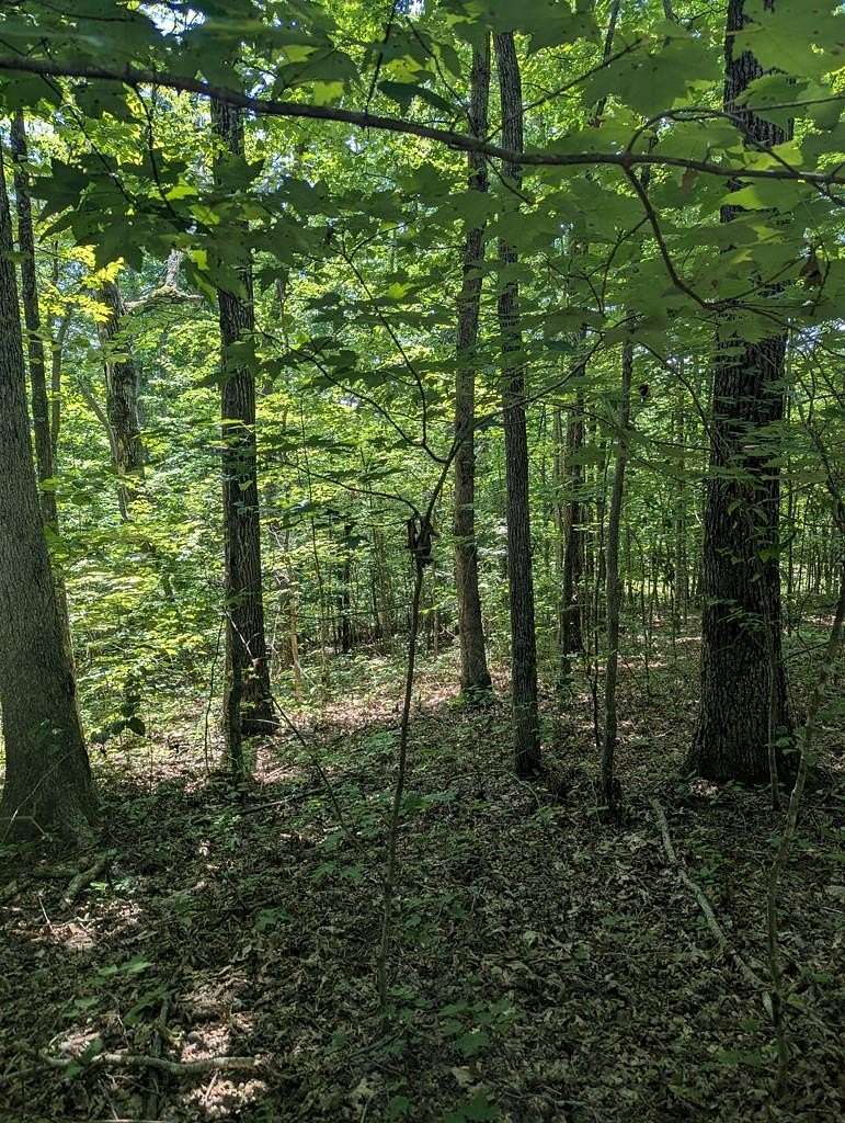 3.82 Acres of Residential Land for Sale in Monterey, Tennessee
