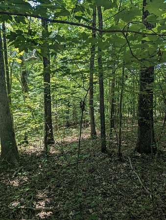 3.82 Acres of Residential Land for Sale in Monterey, Tennessee