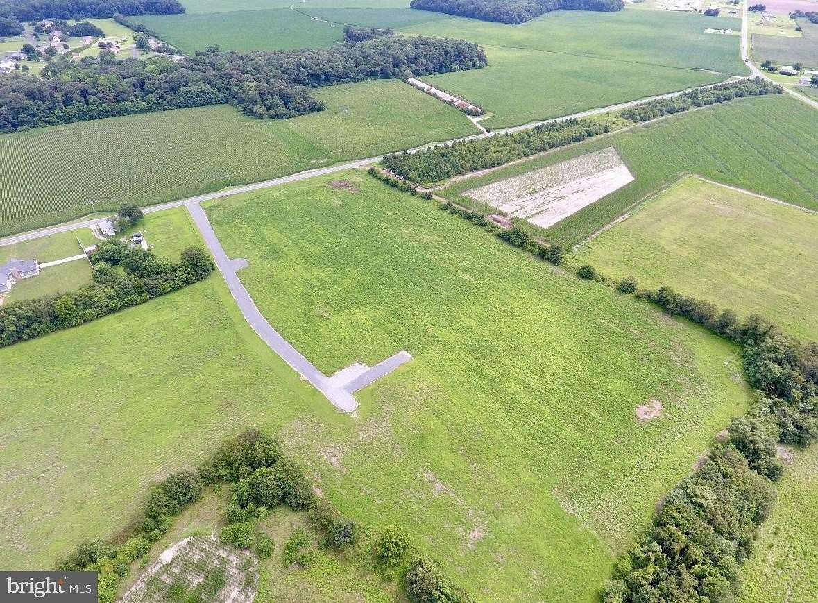 10.8 Acres of Land for Sale in Laurel, Delaware