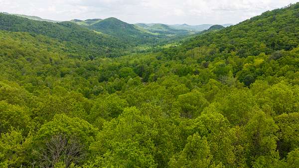 35 Acres of Land for Sale in Moravian Falls, North Carolina