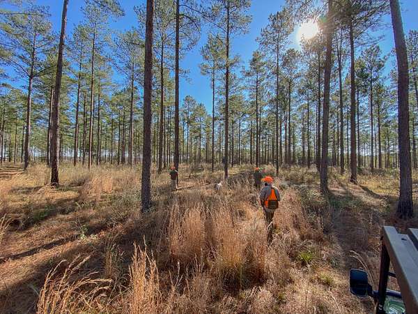 60 Acres of Land with Home for Sale in Brantley, Alabama