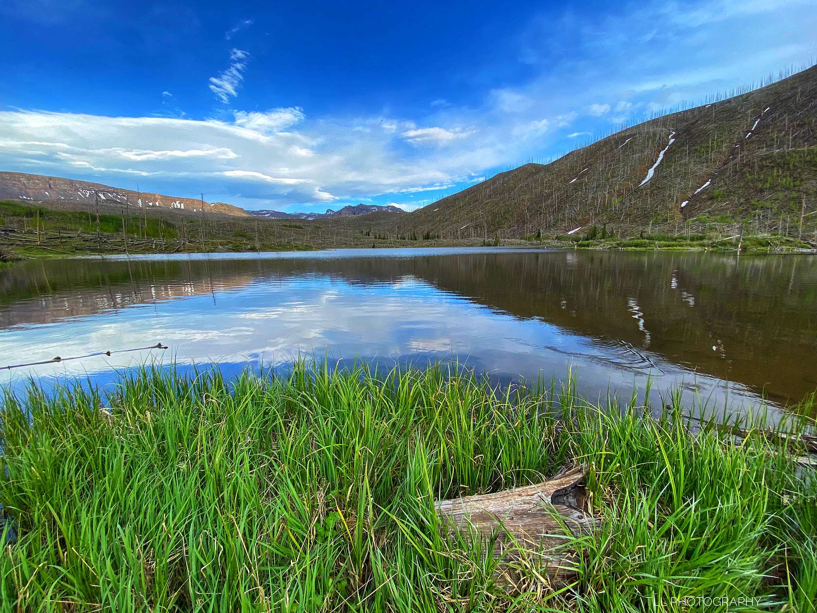 11.4 Acres of Land for Sale in Meeker, Colorado
