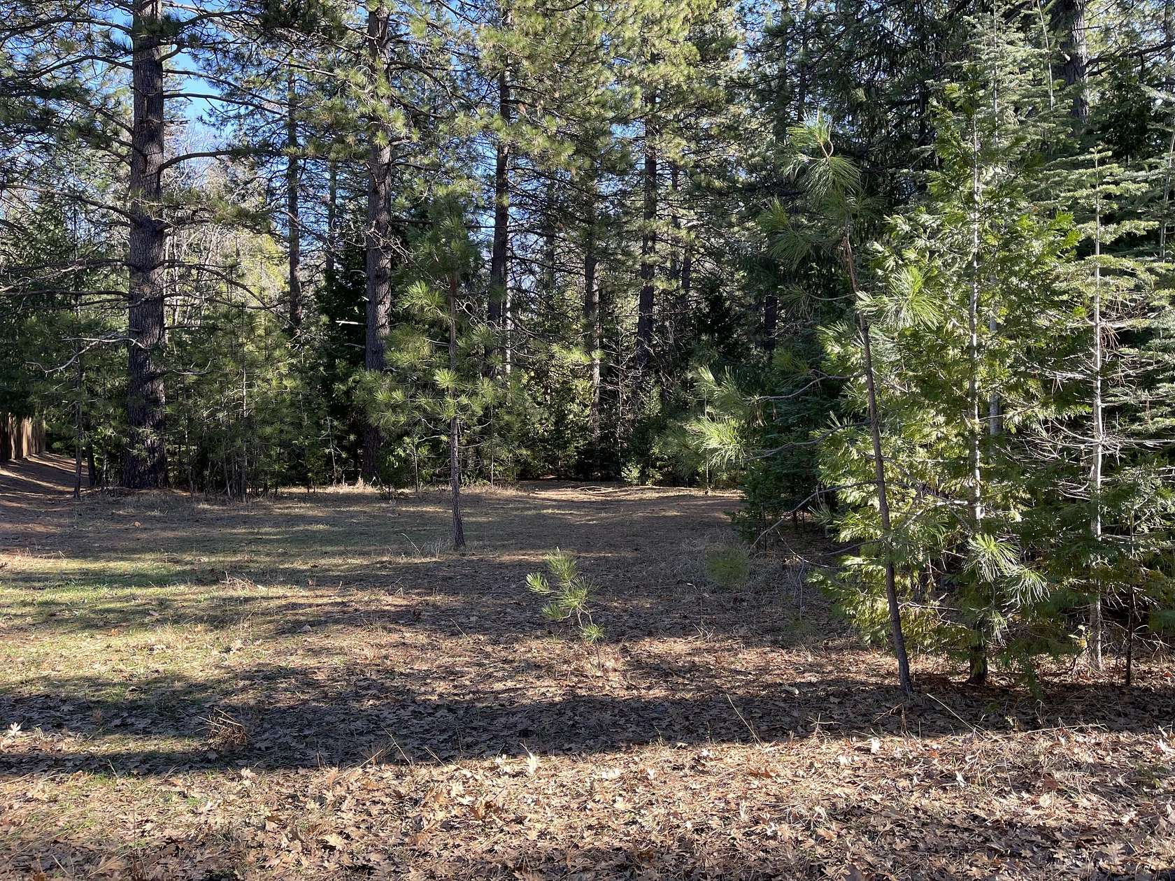 2 Acres of Land for Sale in Shingletown, California