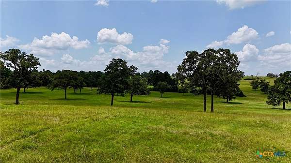 56 Acres of Recreational Land for Sale in Rosanky, Texas
