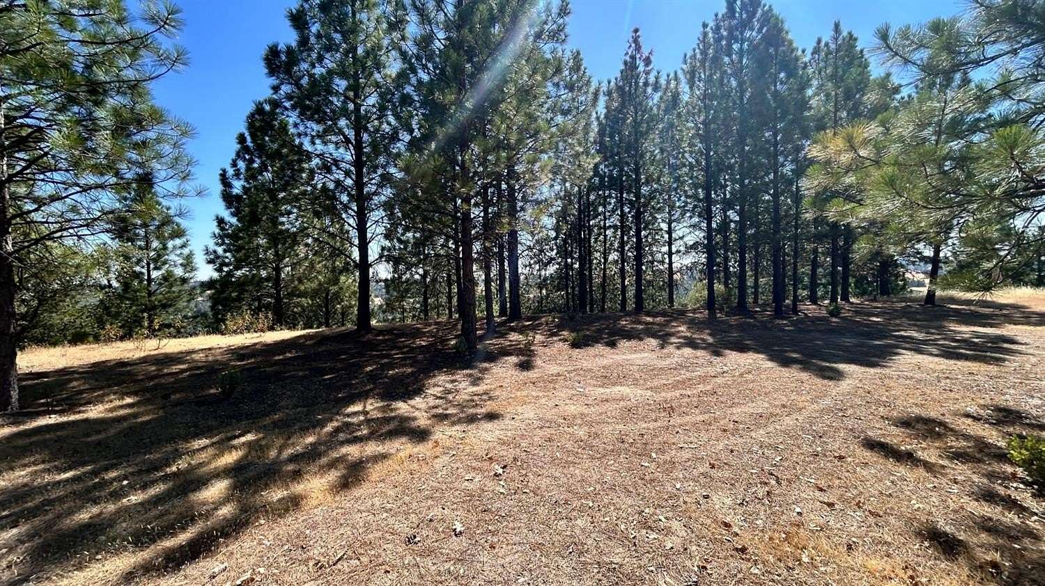 40 Acres of Recreational Land for Sale in Mountain Ranch, California