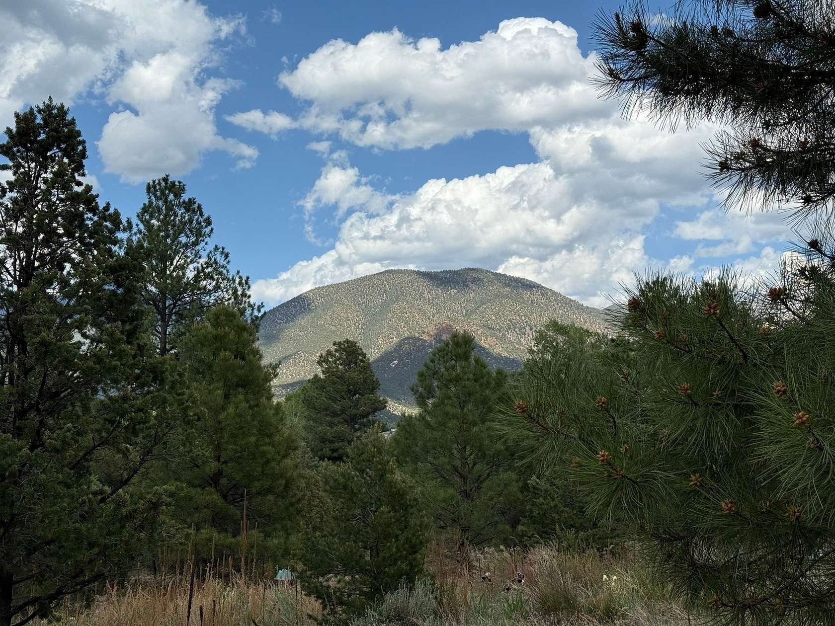 1.69 Acres of Residential Land with Home for Sale in Questa, New Mexico