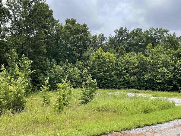 24 Acres of Recreational Land for Sale in Cadiz, Kentucky