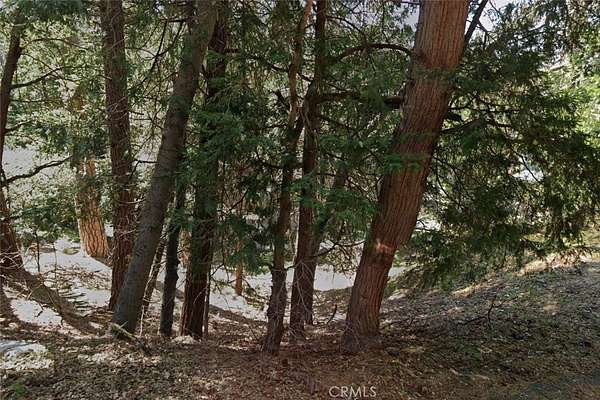 0.05 Acres of Land for Sale in Cedarpines Park, California