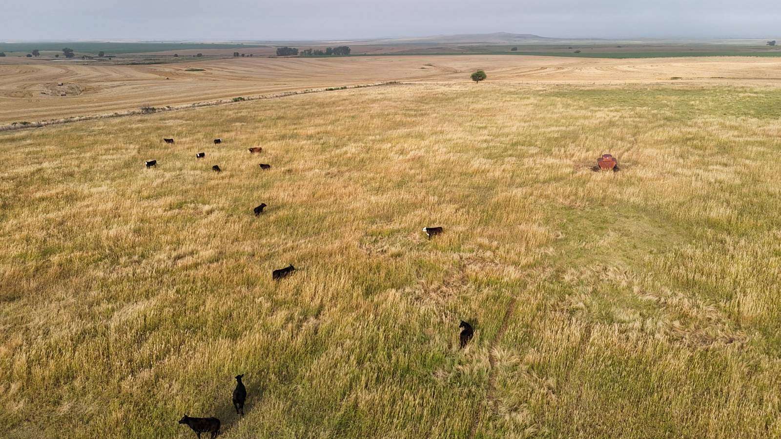 158 Acres of Agricultural Land for Sale in Hunter, Kansas