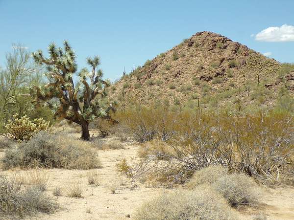5 Acres of Residential Land for Sale in Yucca, Arizona