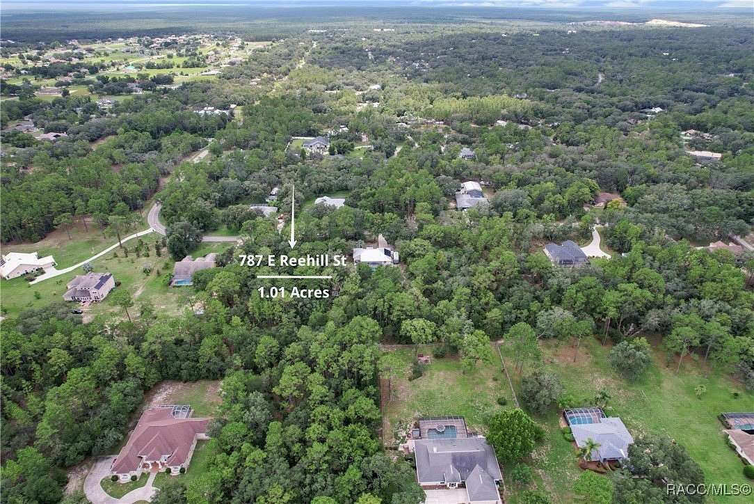 1 Acre of Residential Land for Sale in Lecanto, Florida