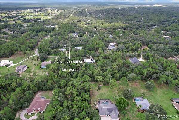 1 Acre of Residential Land for Sale in Lecanto, Florida
