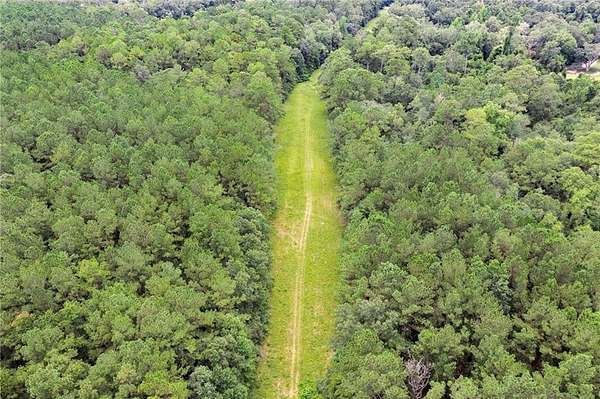 9 Acres of Residential Land for Sale in Lacombe, Louisiana