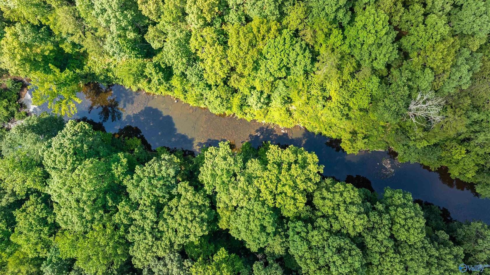 4.2 Acres of Residential Land for Sale in Mentone, Alabama