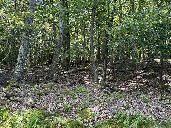 0.72 Acres of Residential Land for Sale in Greentown, Pennsylvania
