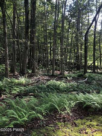 0.48 Acres of Residential Land for Sale in Newfoundland, Pennsylvania